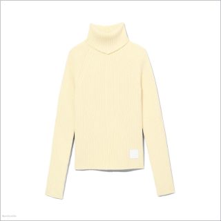 TENDER YELLOW MARCDOWN/View All Marcdown/The Ribbed Turtleneck